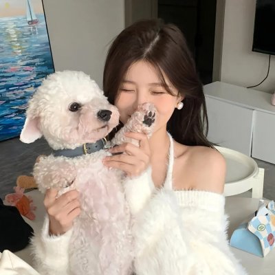 我的老婆是老公
